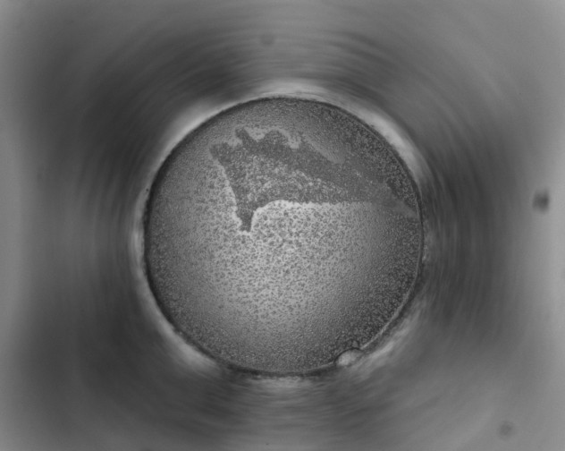 X0000102770999200808251048