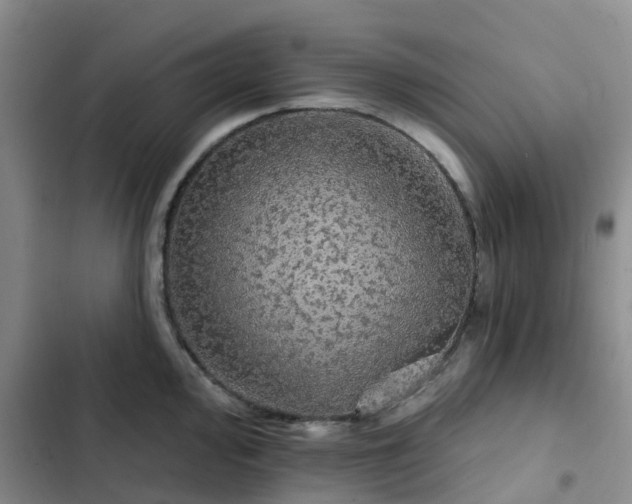 X0000102771000200808251048