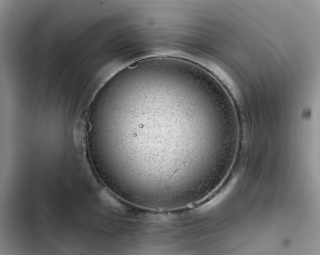 X0000102771001200808251048