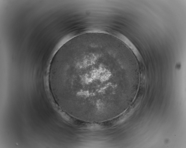 X0000102771002200808251048