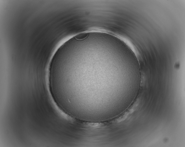 X0000102771003200808251048