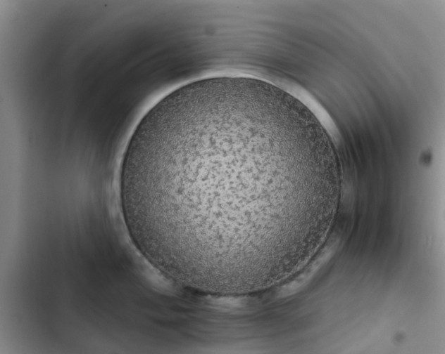 X0000102771004200808251048