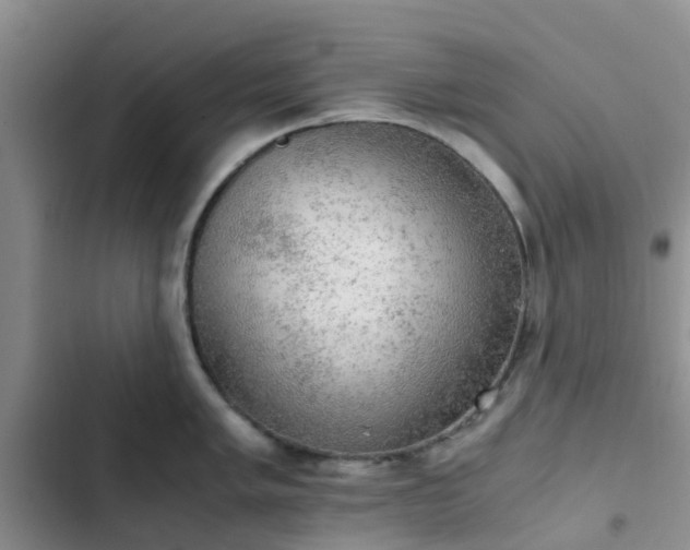 X0000102771005200808251048