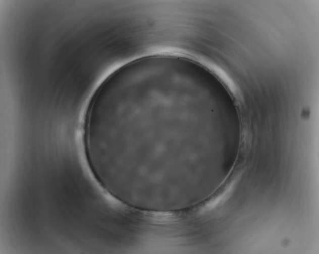 X0000102771007200808251047