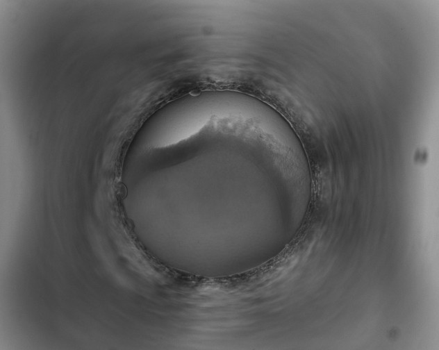 X0000102771009200808251047