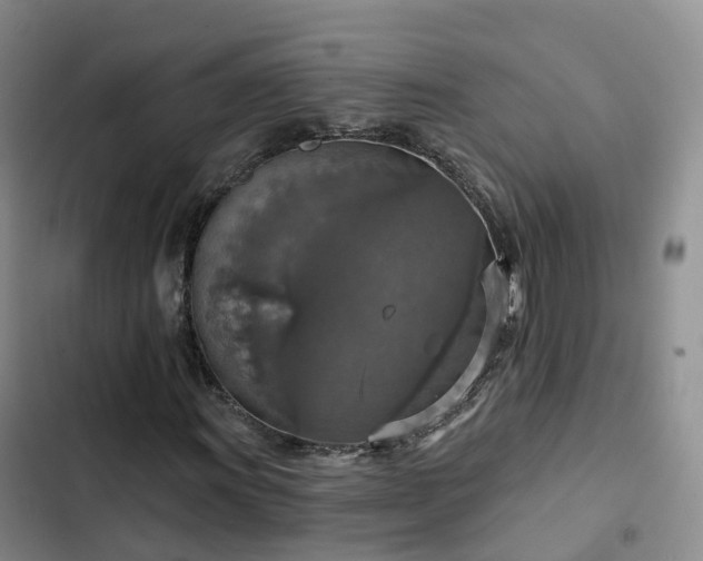 X0000102771011200808251047