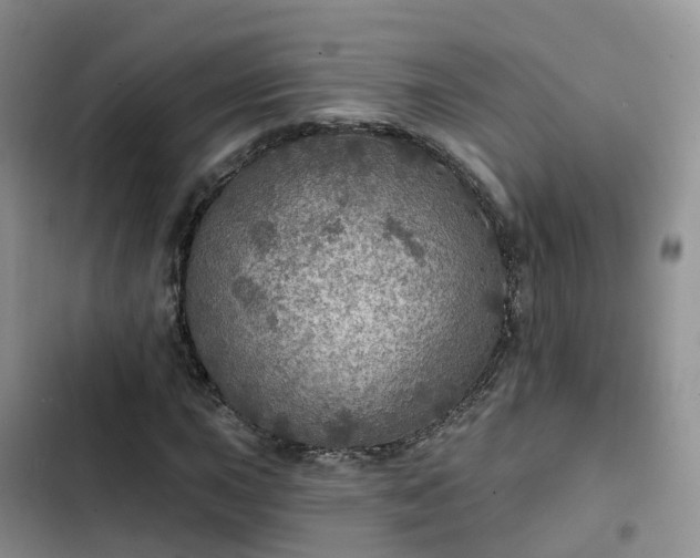 X0000102771015200808251047