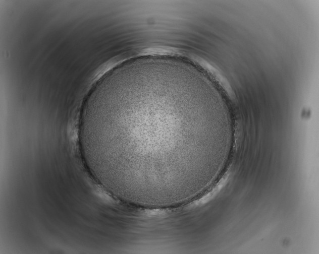 X0000102771017200808251047