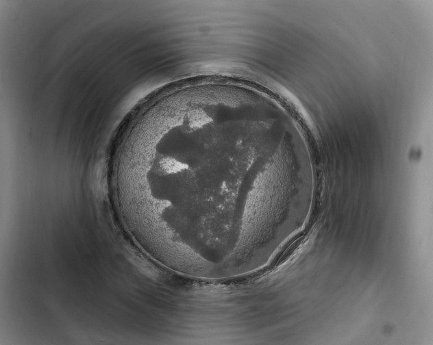 X0000102771019200808251047