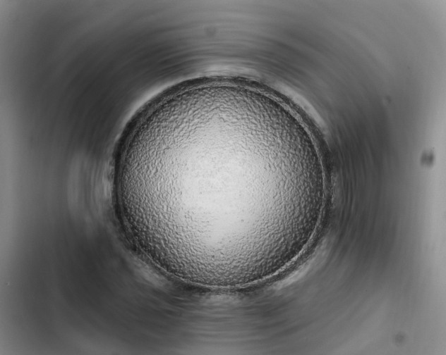 X0000102771021200808251047