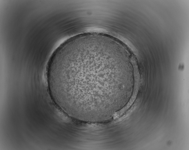 X0000102771022200808251047