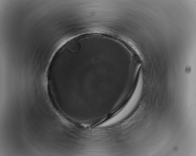 X0000102771024200808251047