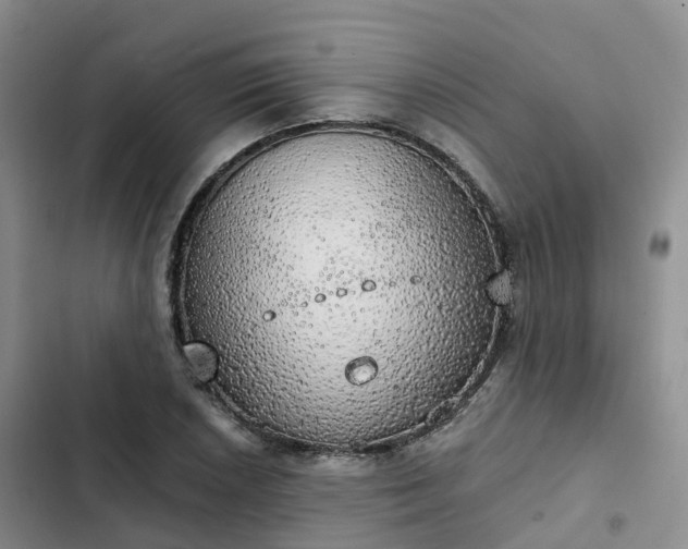 X0000102771026200808251047