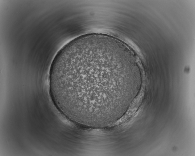 X0000102771028200808251047