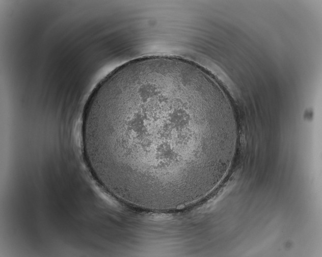 X0000102771030200808251047