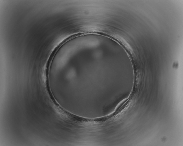 X0000102771031200808251047