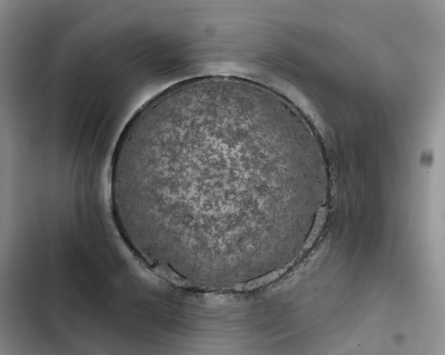 X0000102771032200808251047