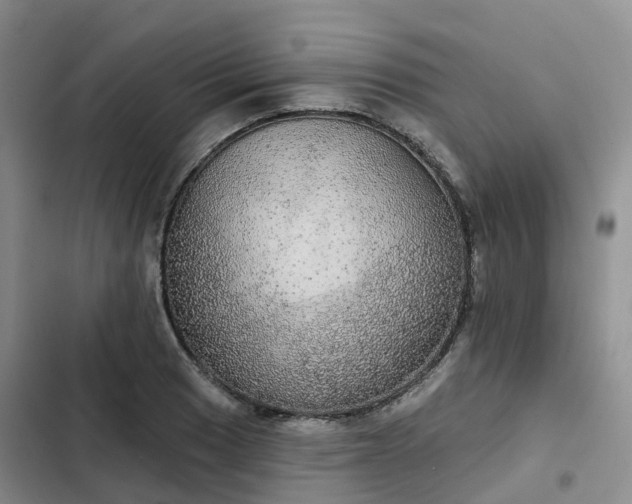 X0000102771033200808251047