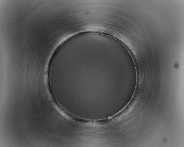 X0000102771037200808251047