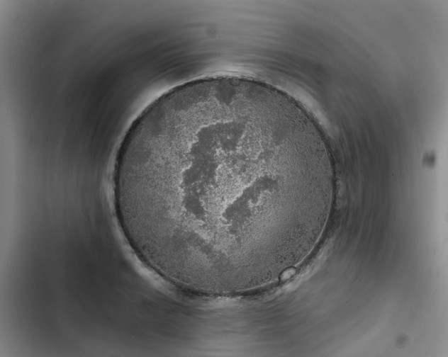 X0000102771038200808251047