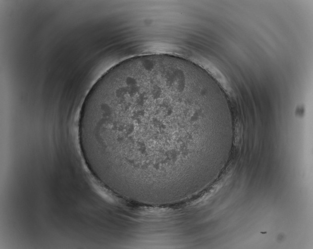 X0000102771039200808251047