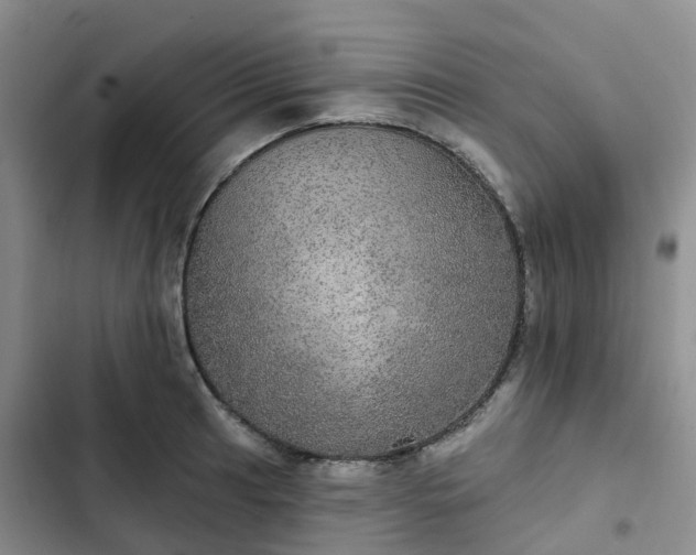 X0000102771041200808251047