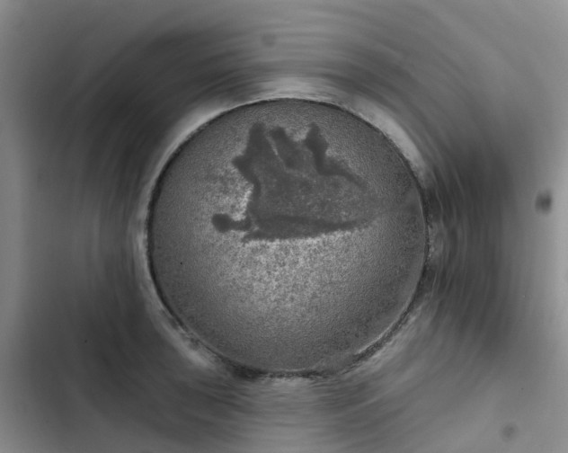 X0000102771043200808251047