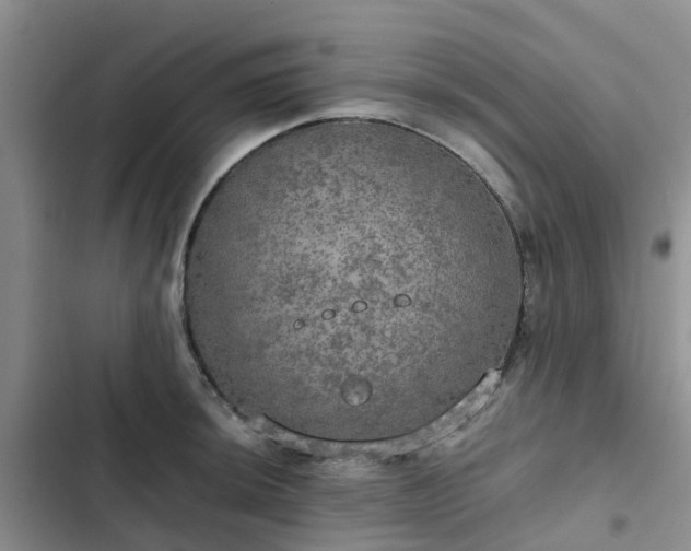 X0000102771044200808251047