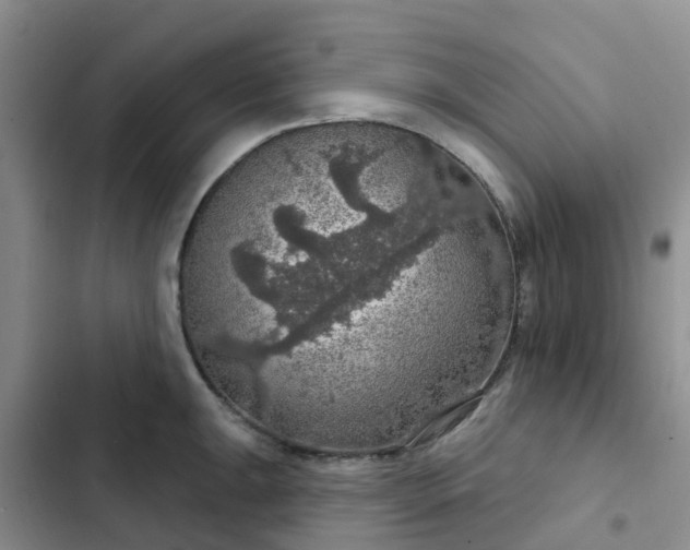 X0000102771047200808251047