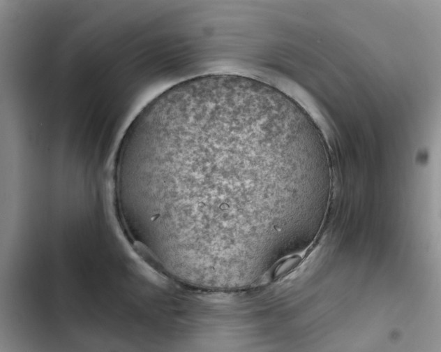 X0000102771048200808251047