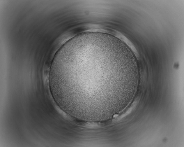 X0000102771049200808251047