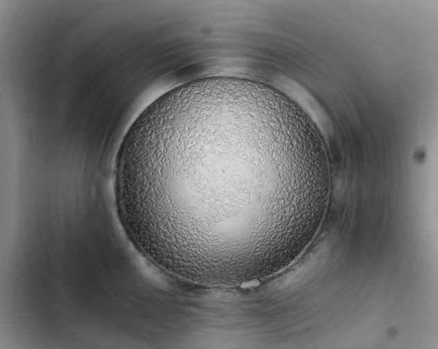 X0000102771050200808251047