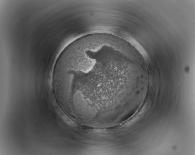 X0000102771052200808251047