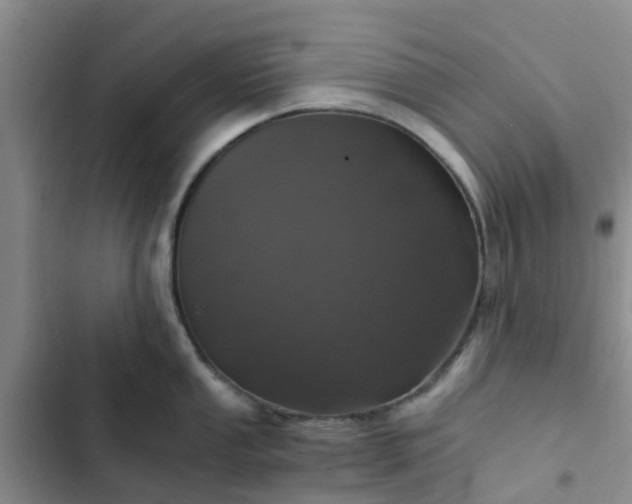 X0000102771053200808251047