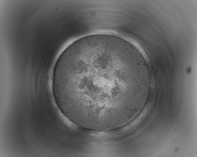 X0000102771054200808251047