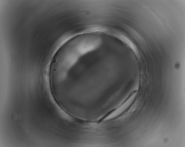 X0000102771055200808251047