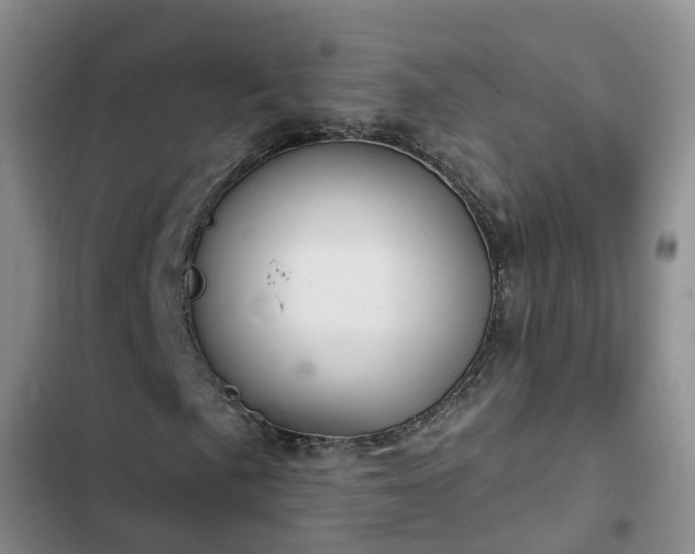 X0000102771057200808251047