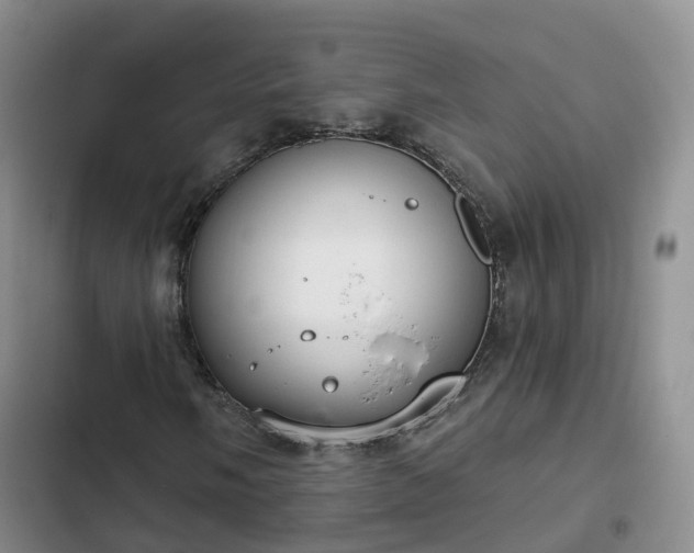 X0000102771058200808251047