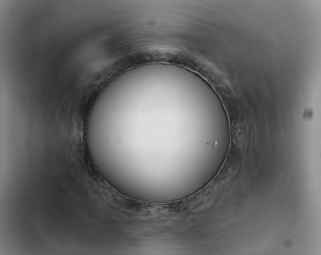 X0000102771061200808251047