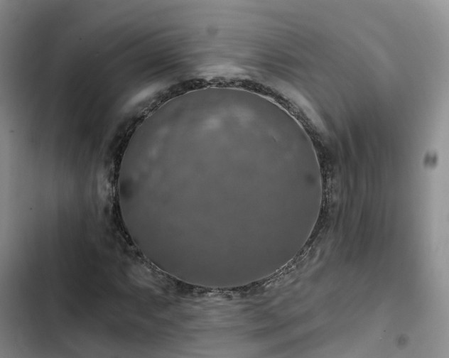 X0000102771063200808251047