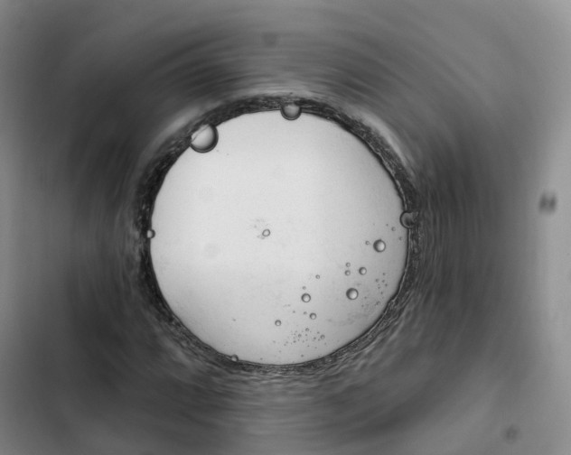 X0000102771064200808251047