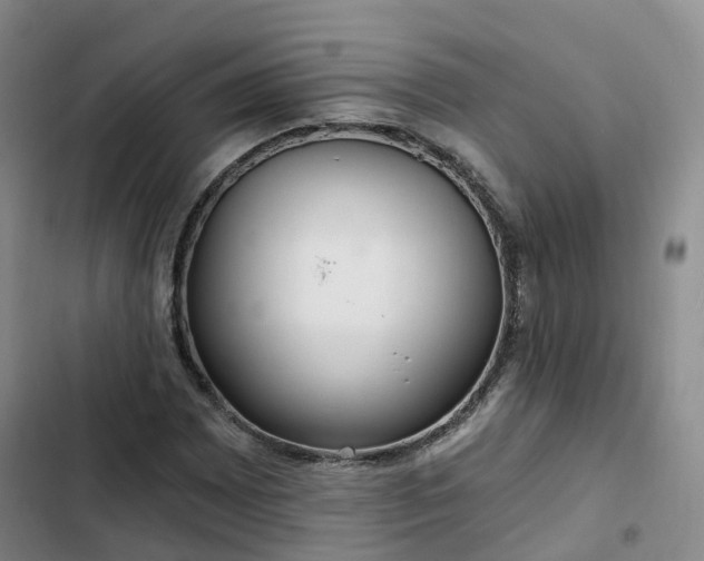 X0000102771065200808251047