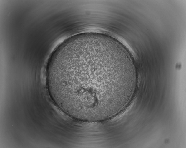 X0000102771067200808251047