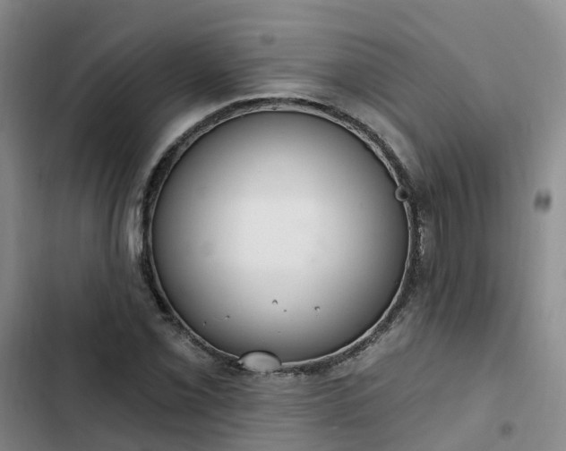 X0000102771069200808251047