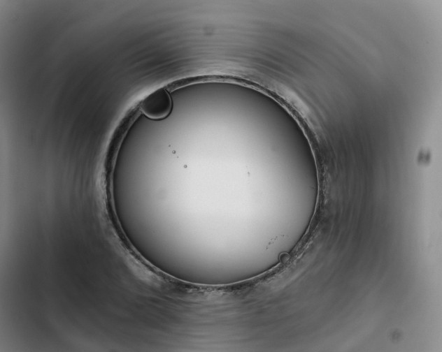 X0000102771072200808251047