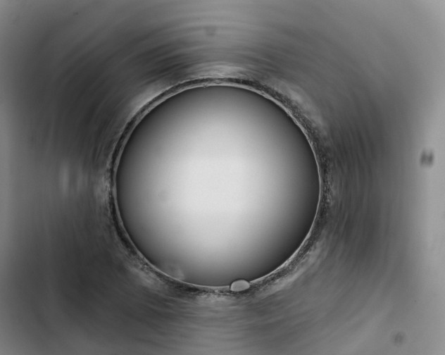 X0000102771073200808251047