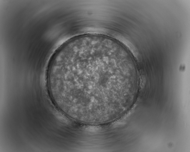 X0000102771074200808251047