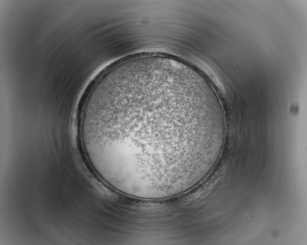 X0000102771076200808251047