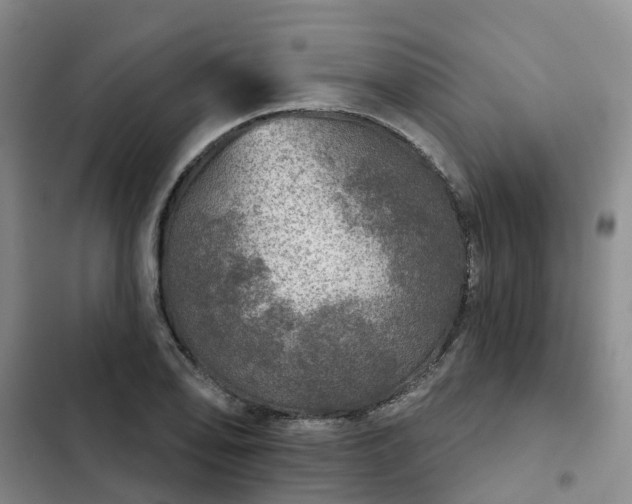 X0000102771078200808251047