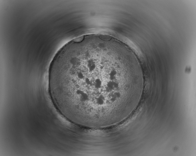 X0000102771079200808251046